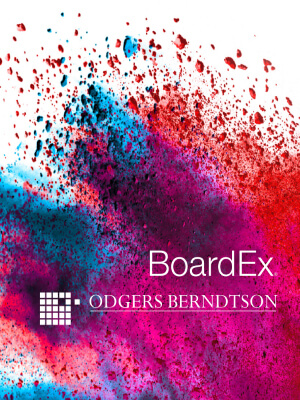 odgers berndtson - Cta Box Leadership Diversity Cover Image